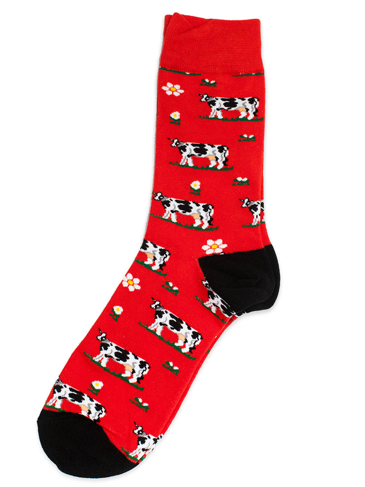 Cows